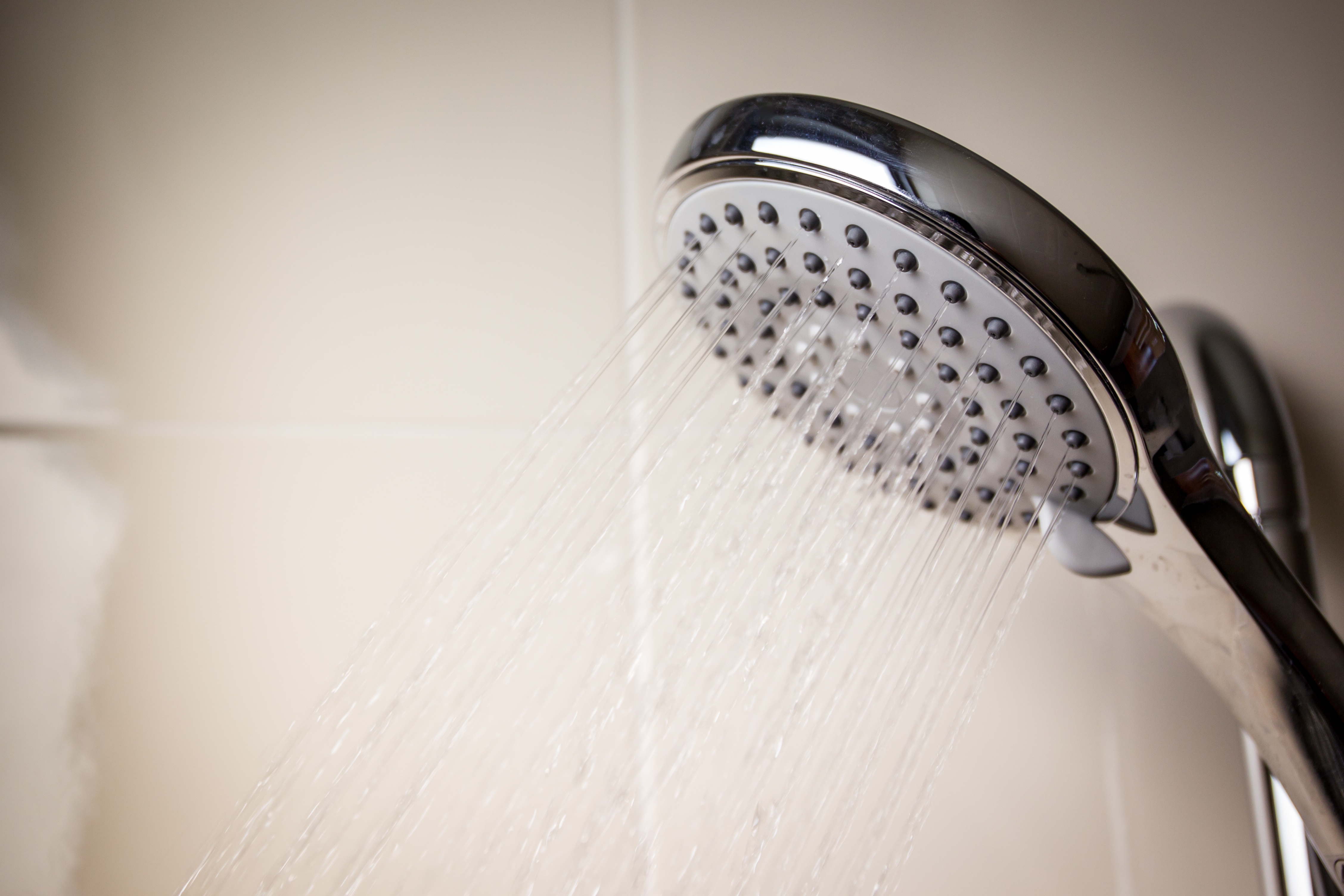 AdobeStock_116579675.jpeg