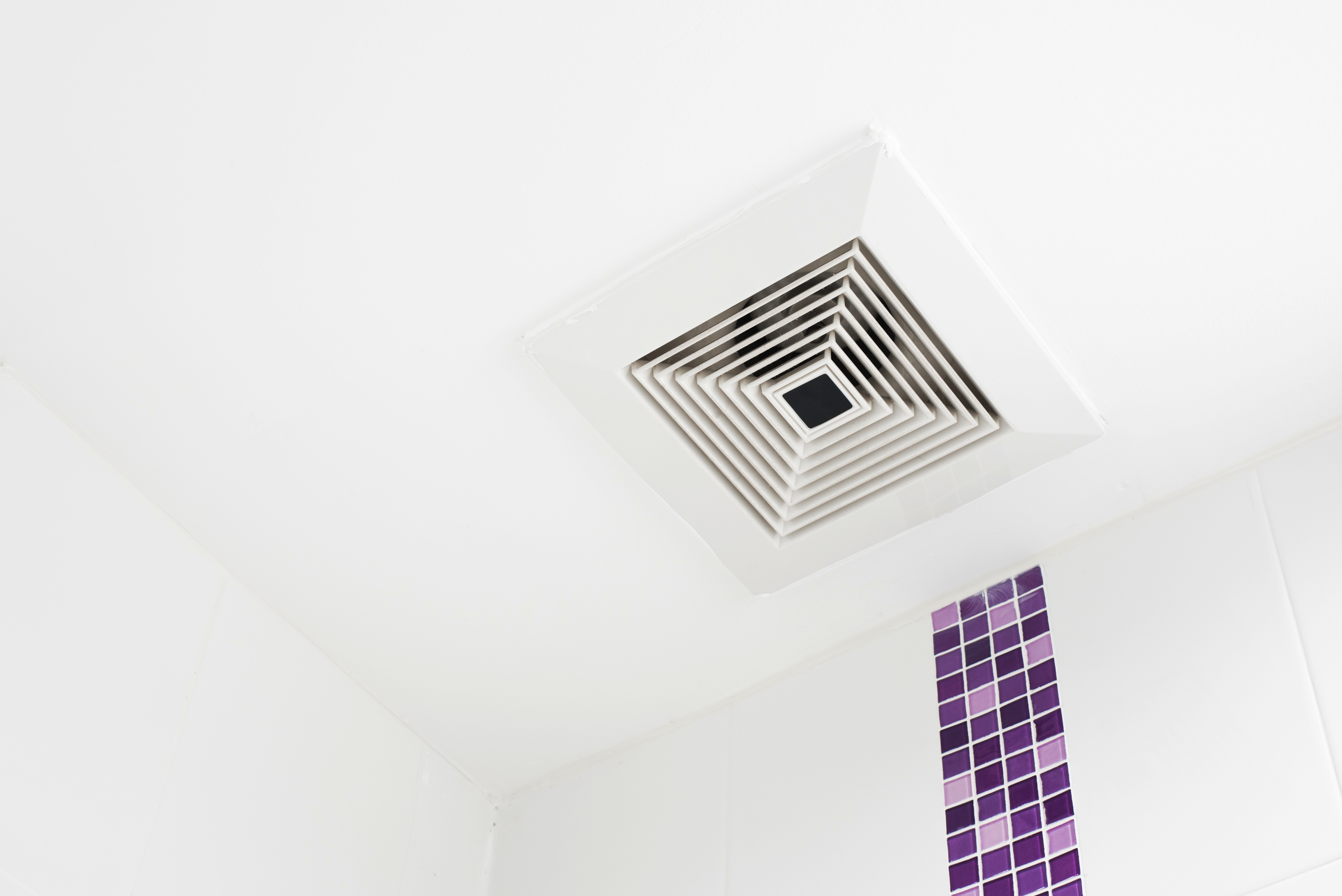 AdobeStock_120833465.jpeg