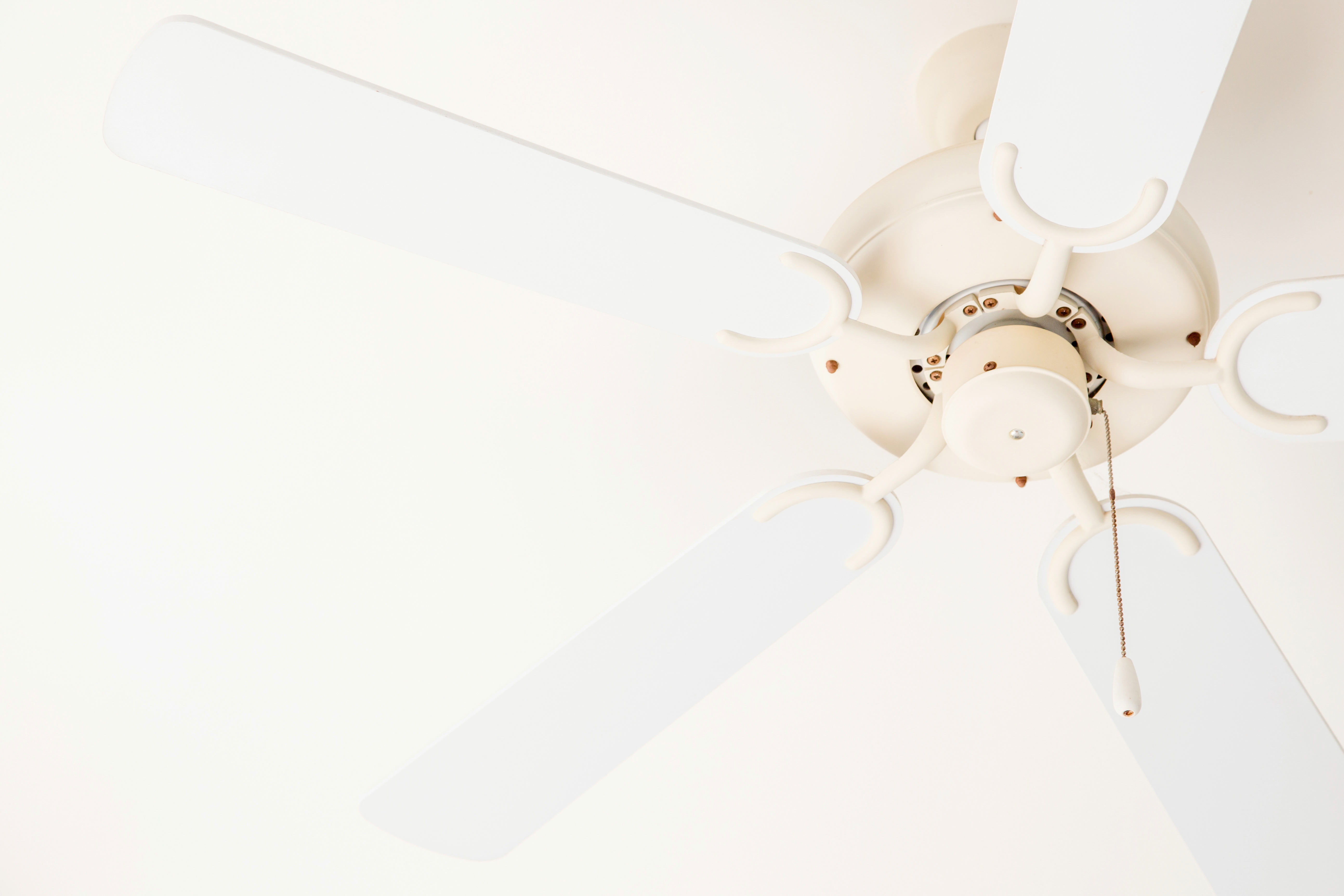 AdobeStock_89148152.jpeg