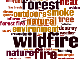 Wildfire Season is in Full Swing: Protect Your Property