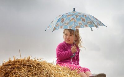 Plan Ahead for Spring Storms