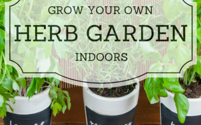 Limited on Outdoor Space? Bring your Garden Inside!