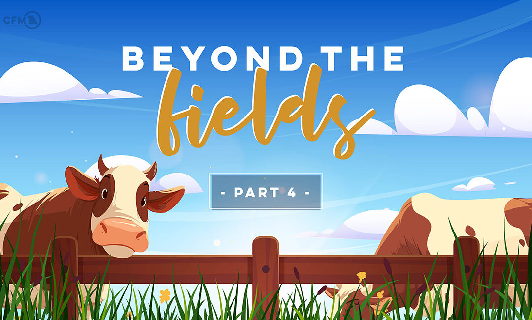 Beyond the Fields, Part 4 – Built to Endure
