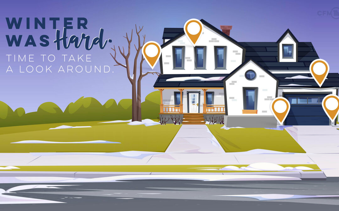 My House Survived Winter: Now What?